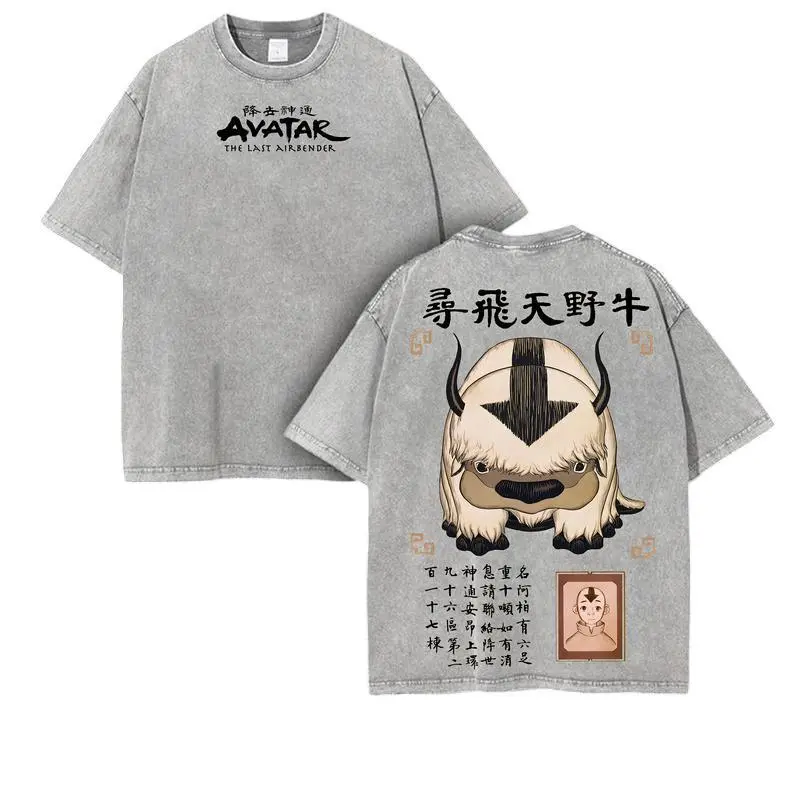 Avatar Appa x Aang Vintage Tee - Oversized T-Shirt, Retro Flying Bison Design, Anime Streetwear Heavyweight Cotton Gift 2025 Dress Graphics