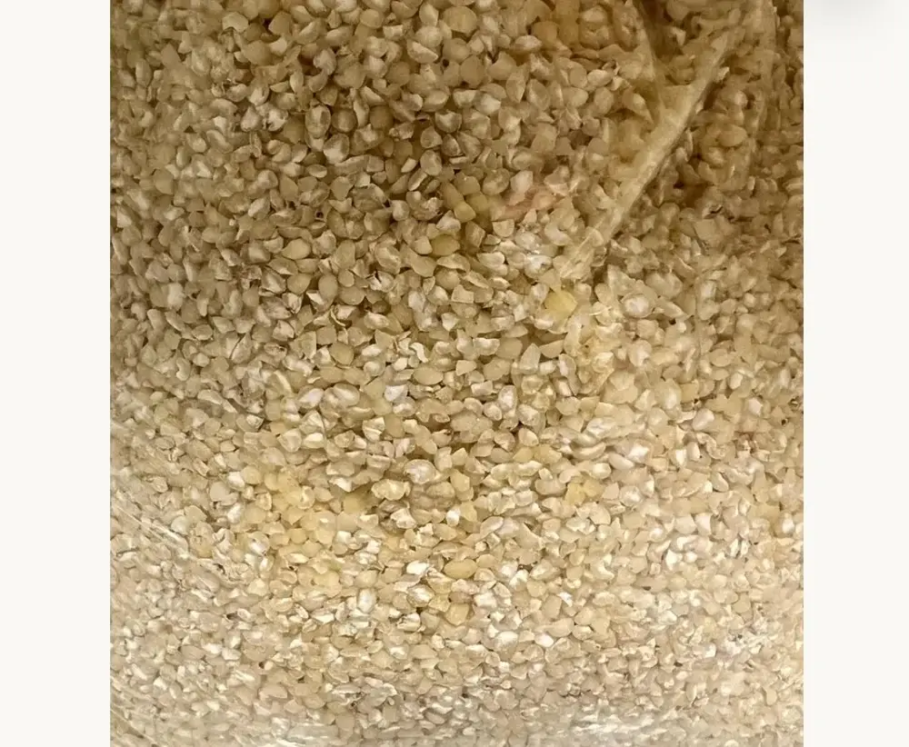 Pitimi (Petit Mil) Haitian Millet Grain for Traditional Cooking & Healthy Meals, Whole Millet, Gluten Free, High Fiber, 2 lb