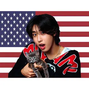 SKZ Han with a Kitten American Flag K-Pop Tapestry, K-Pop Merchandise, Fan Gifts, Wall Hanging, Room Decor, Wall Hanging, Fan Art father's day gifts,gifts boyfriend,gifts for girl adults,gifts under 100 dollars,cheap stuff for your room Dec
