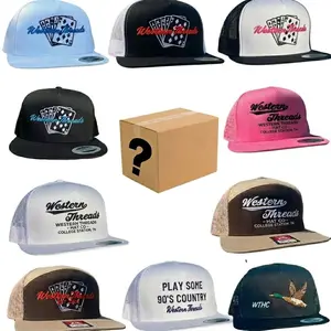 [BEST 2026] One Hat Box Sent, Embroidered Hat Western Threads, Duck Flying Cap, Outdoor Cap Gift Box for Men & Women