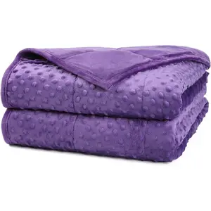 Weighted Blanket, Luxury Velvet Weighted Blankets for Kids,Warm and Breathable Soft and Comfort Minky, Cute Heavy Blanket with Premium Glass Beads (41"x60" 7LBS, Purple)