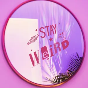 Stay Weird Vinyl Car Decal for Windows Indoor or Outdoor Durable Alien Design Unique and Versatile for Various Surfaces