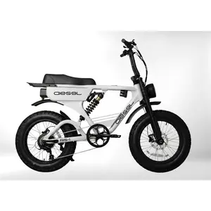 Diesel RS-1 Electric Bike 750W | Long Range E-Bike | 7-Speed Gear | Pedal Assist & Throttle | Outdoor Adventure eBike