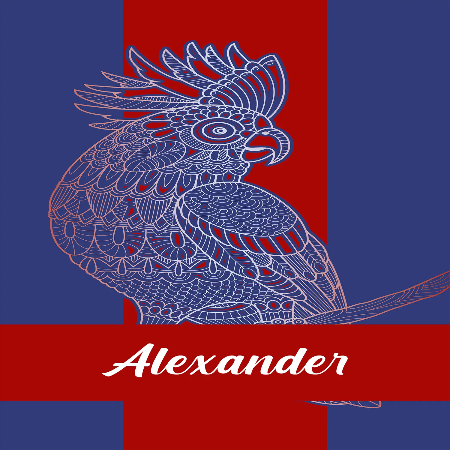 Name - Boho Parrot Tropical