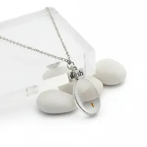 Boho Dandelion Crystal Pendant Necklace Charm Jewelry for Women & Men Unique Plant Design Oval Square Heart Shapes Lightweight Comfortable Gift