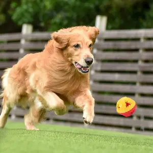 Interactive Dog Chew Toy, Dual Color Teeth Cleaning Ball, Food Leakage Design, Suitable for All Breeds, Pet Training & Dental Care Tool