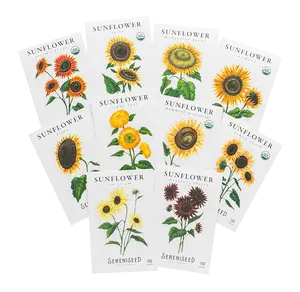 Sunflower Seeds (10-Pack)