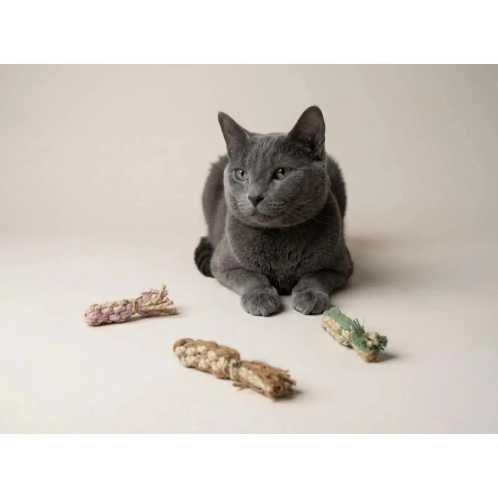 Silvervine Macramé Fish Cat Toy - Handmade with Natural Jute & Soft Macramé Cord - Scent-Based Enrichment - Five Nature-Inspired Colors - Cream, Tide, Moss, Petal, Sand - Lightweight & Easy to Swat