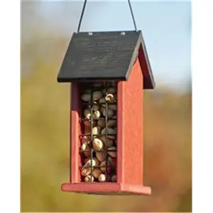 Going Green Full Shell Peanut Feeder