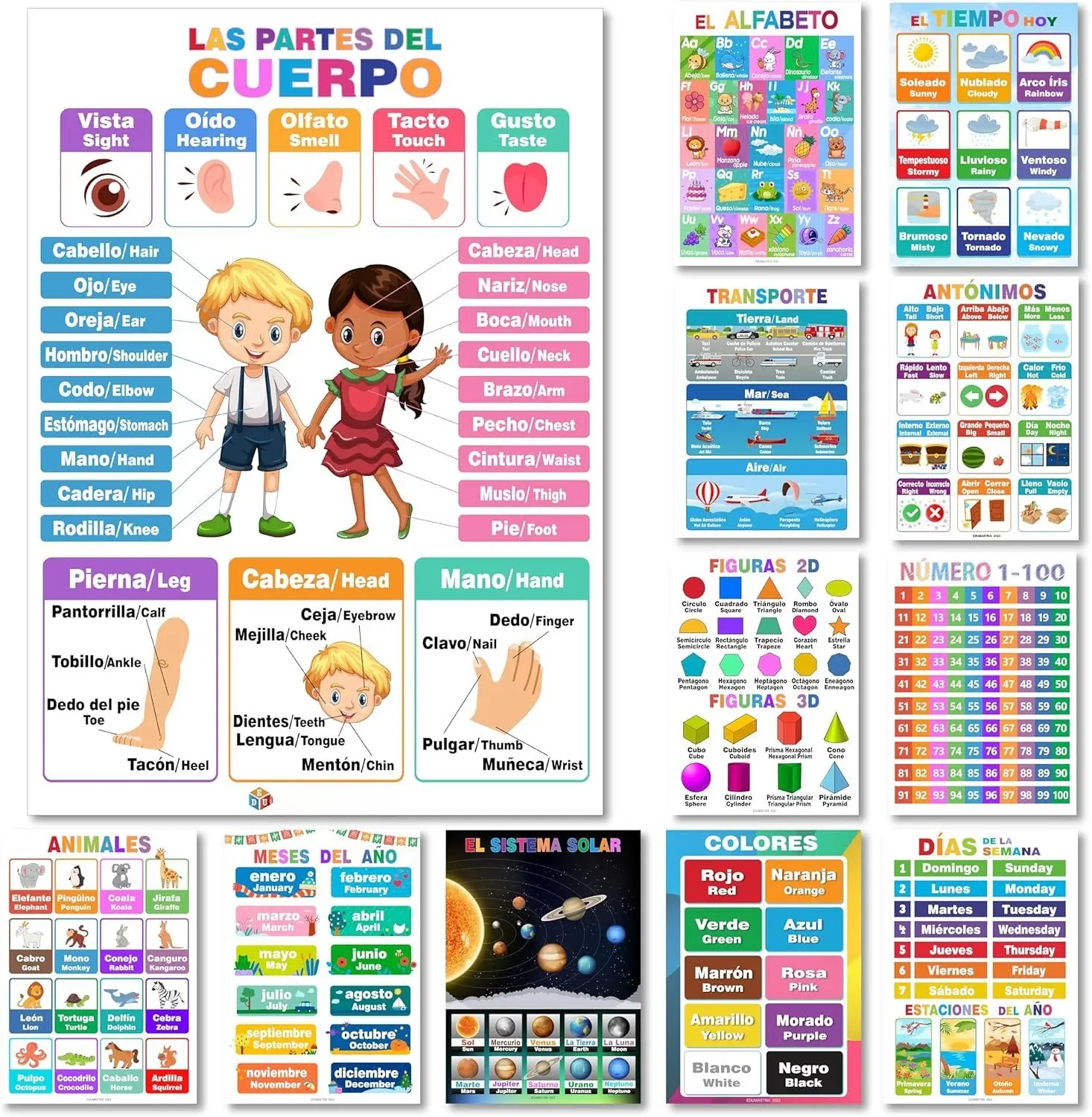 12 Spanish-English Bilingual Printed Plastic Educational Posters, Waterproof Clean Layout Charts with Alphabet, Alfabeto, Numbers, Seasons, Colors, Months, Days of the Week, for Elementary 1st Grade Classrooms (Whiteboard Marker-Compatible), Vibrant