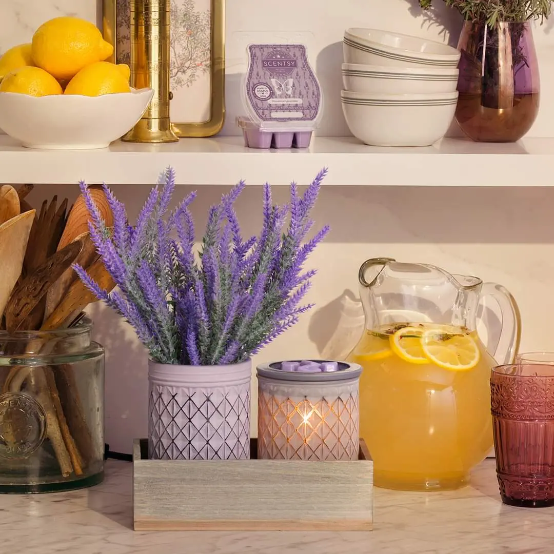 Scentsy products Scentsy products
