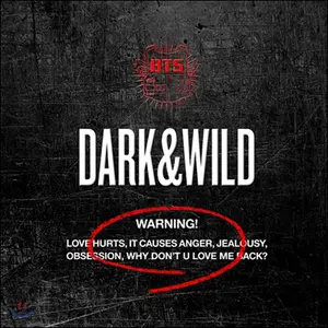 K-Pop Boy Group Debut Album: Dark & Wild