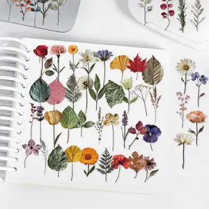 50pcs Plant Specimen Transparent PET Material Series Graffiti Stickers Suitable for Suitcases, Mobile Phone Cases, Laptops, Helmets, Skateboards Waterproof Decoration DIY Creative Stickers, Cellphone Casing Accessories