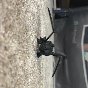 Toothless 3D printing “how to train your dragon”