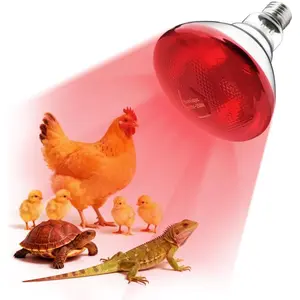 250W 1 Pack Infrared Heat Lamp Bulb with E26 Socket 5000 Hours Lifespan for Chicks Pets Reptile Food Service Brooder Coop