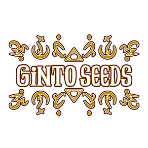Ginto Seeds