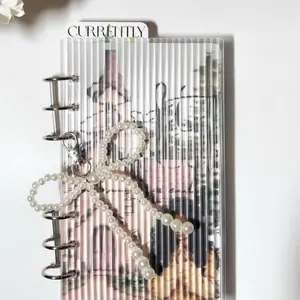 Soft Surrender Savings Challenge Binder | A6 Acrylic Cash Budget Binder