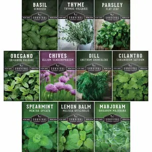 Indoor Herb Garden Seed Kit – 10 Heirloom Varieties
