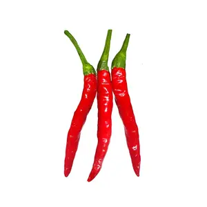 Thai Hot Pepper Seeds