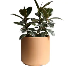 Unglazed Clay Ceramic Cylinder Planter