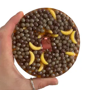 Reusable Picky Pad Piggy Pick Limited Edition Handcrafted Biodegradable Remelts 30+ Times Colorful Beads OT Friendly Calming Sensory Fidget for Focus