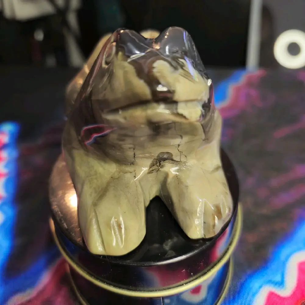 Volcano Agate Frog