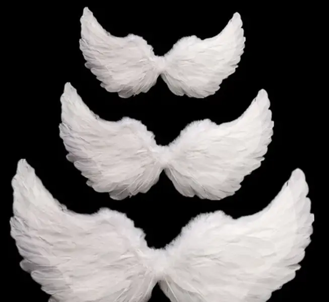 Real Feather Angel Wings Costume – White & Black Angel Wings for Women Kids, Halloween Cosplay Dress Up Accessories & Stage Performance Props