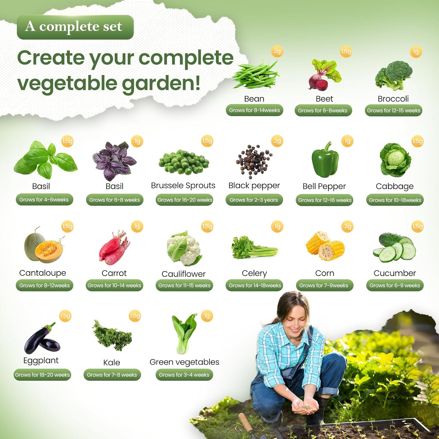 Vegetable Seed Vault Kit - 35 Variety Pack for Home Growing & Planting Survival Seeds Heirloom Vegetable Mix