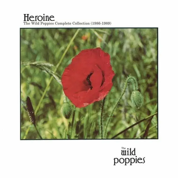 Wild Poppies Band Rock Music LP Album - 1986 Complete Collection, Music Vinyl, Records Vinyl Albums