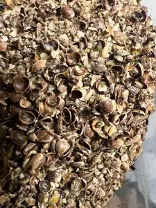 Ripkitty Premium Hull-Free Hemp Hearts – Organic Poultry & Wild Bird Seed Blend