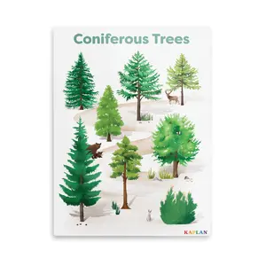 Kaplan Early Learning Coniferous Tree Giclee Classroom Wall Print | Nature-Inspired Room Décor | 18" x 24" | Plant Canvas Wall Art