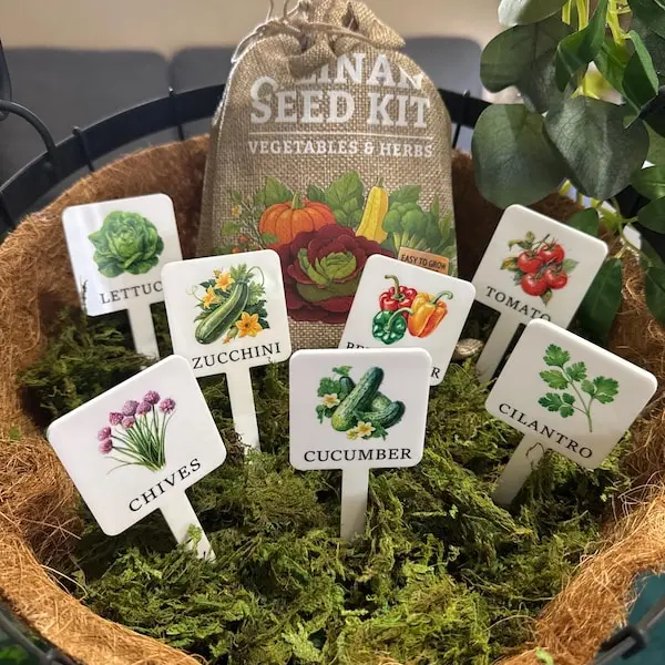 Herb Vegetable Garden Markers, Acrylic Plant Stakes, Fruit Label Signs, Garden Lover Gift, Unique Garden Marker, Herb Label Custom, Plant Lover Gift