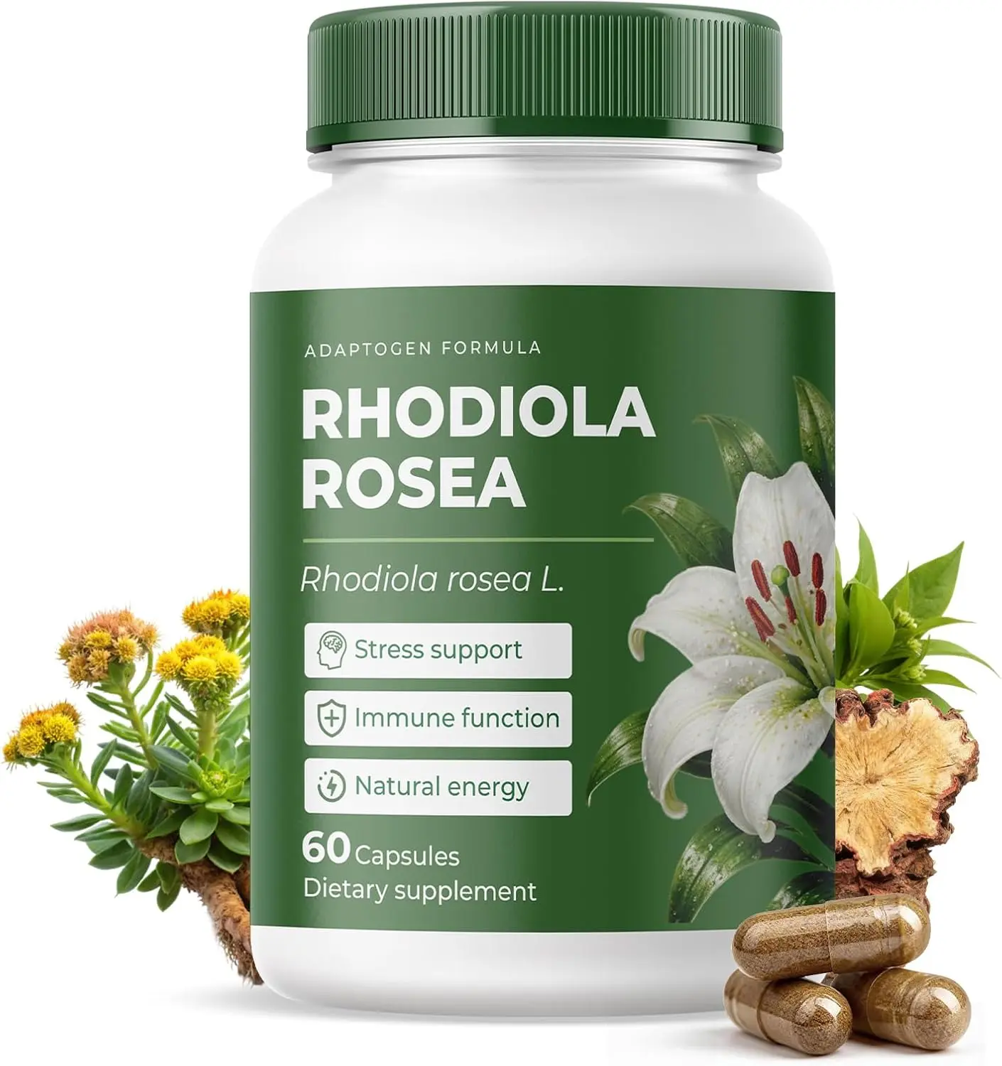 Rhodiola Rosea Supplement Organic – Adaptogenic Herbal Blend with Rhodiola for Stress Relief, Sustained Energy, Mental Focus & Cognitive Performance, Natural Non-GMO Daily Wellness Support