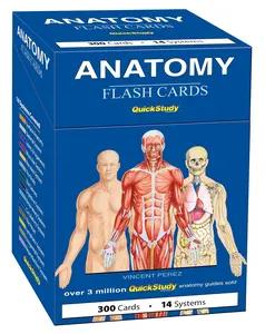 QuickStudy Anatomy Flash Cards - 300 Colorful Cards with Detailed Illustrations for 14 Human Body Systems - Best Selling Medical Study Tool / Flashcards For Studying