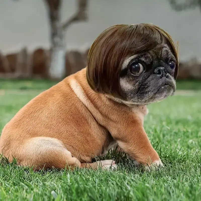 Cute Short-Hair Wig Pet Headband, Funny Pet Wig Hair Accessories for Dogs and Cats, Puppy Costume, Valentine's Day Gift