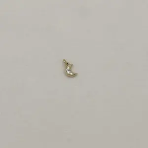 Golden Moon Charm
