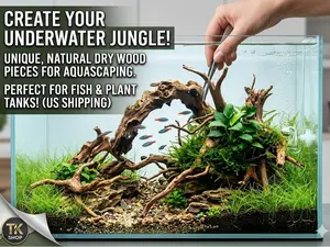 generic 1 Pc Natural Driftwood for Aquarium Reptile Branches Terrarium Wood Aquarium Trunk Driftwood Tree Fish Tank Log Decoration Plant Stump(8-10Cm) Clever design