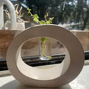 Handmade Concrete propagation Station With 5 String of turtle Cuttings