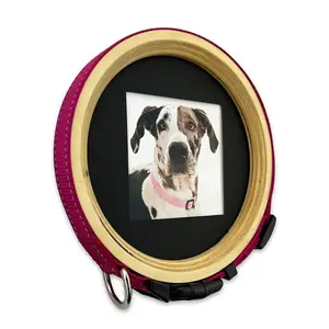 Large/Extra Large Dog Collar Frame | "The Great Dane"
