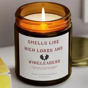 Fourth Wing ACOTAR Gift, Smells Like High Lords and Wingleaders Candle, Book Candle Gift, Xaden/Rhysand, Book Lover gift, Bookish Gifts, acotar candle, fourth wing candle, fourth wing gift