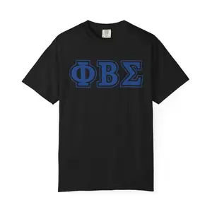 Sigma T-Shirt, Fraternity Tee, Greek Life Shirt, Sorority Apparel, College Clothing