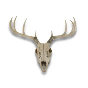 Lifelike 10-Point Buck Deer Skull Replica - Wall Hanging for Man Caves and Nature Enthusiasts - European Stag Skull Decor Decoration Faux