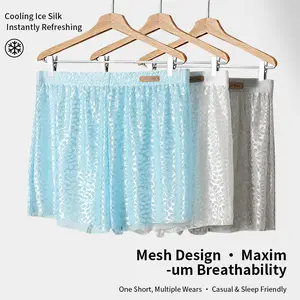Men’s sexy lace boxer briefs/boyshorts, breathable mesh design, alluring underwear, nylon translucent ice silk fabric, stylish for lovers, soft, ultra-thin, wrinkle-resistant
