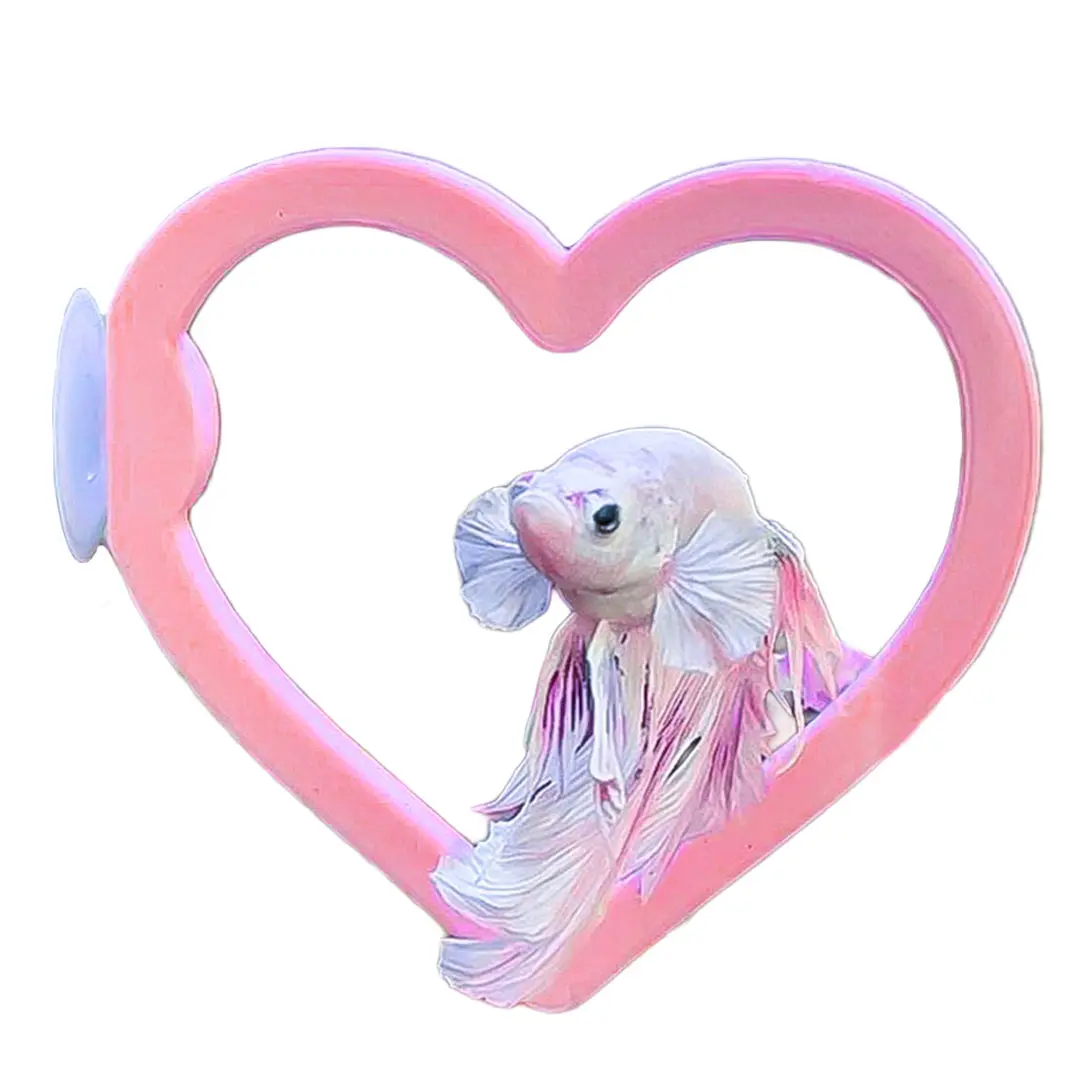 Suction Swim Ring for Betta Entertainment – Tank Decor | Great for Aquariums