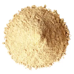 Yellow Maca Powder - by Food to Live
