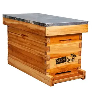 MayBee Hives 5 Frame Langstroth Nuc Honey Bee hive kit  Cedar Wood Beehives ,Waxed Ceder Wood Bee Hives  Nuc Bee Box include Frames and 100% Beewax Foundations,Beekeeping Supplies for Beekeeper in Outdoor,Bee Hive Kit for Beginners