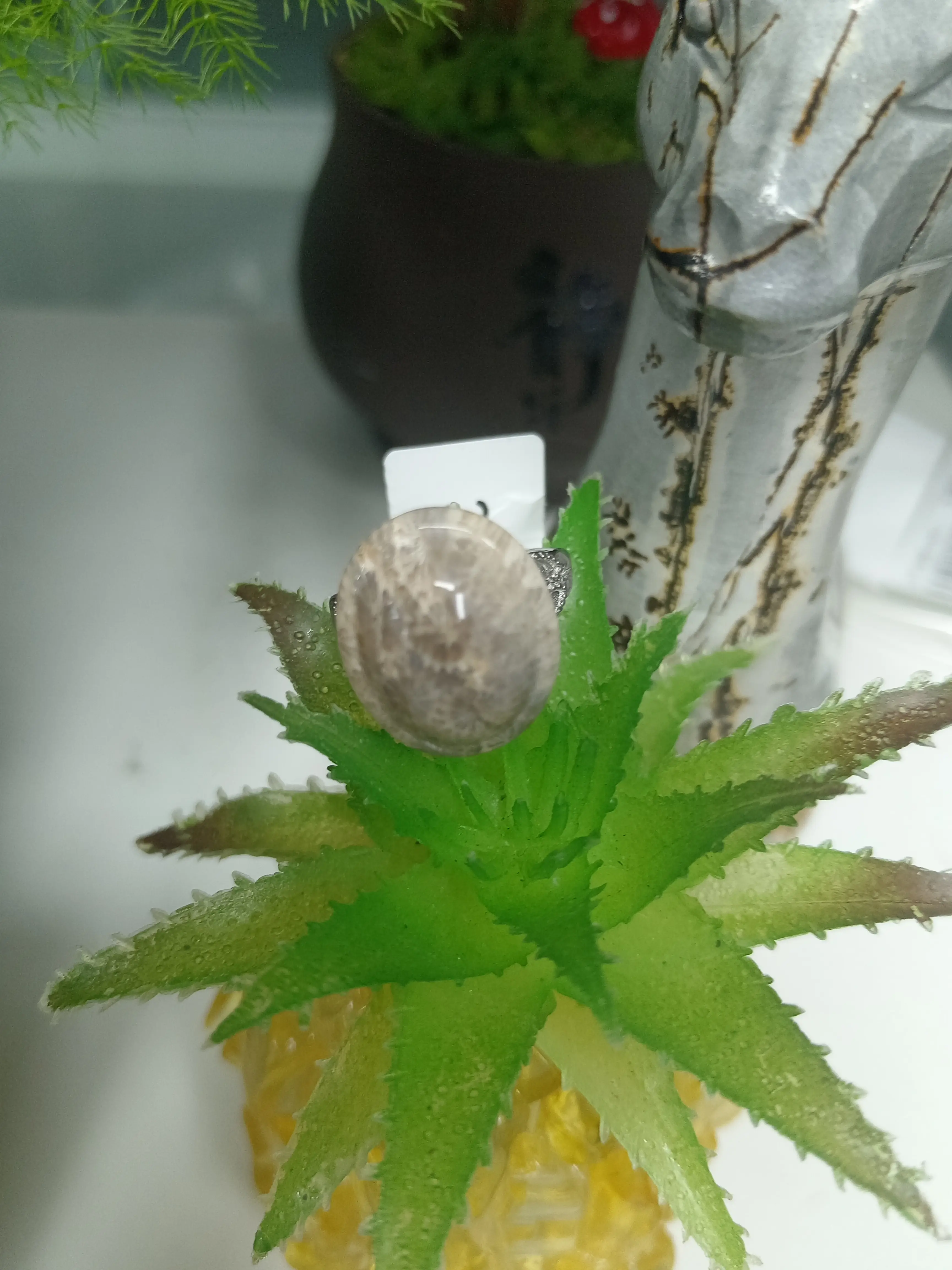 Muly(16543)gc.This coral fossil ring has gorgeous natural grain.