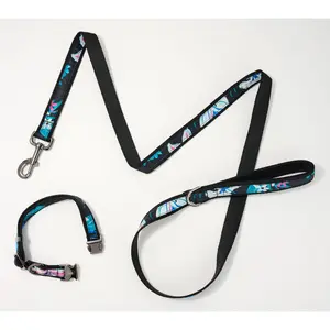 Lug Pet Collar and Leash Set - Fetch