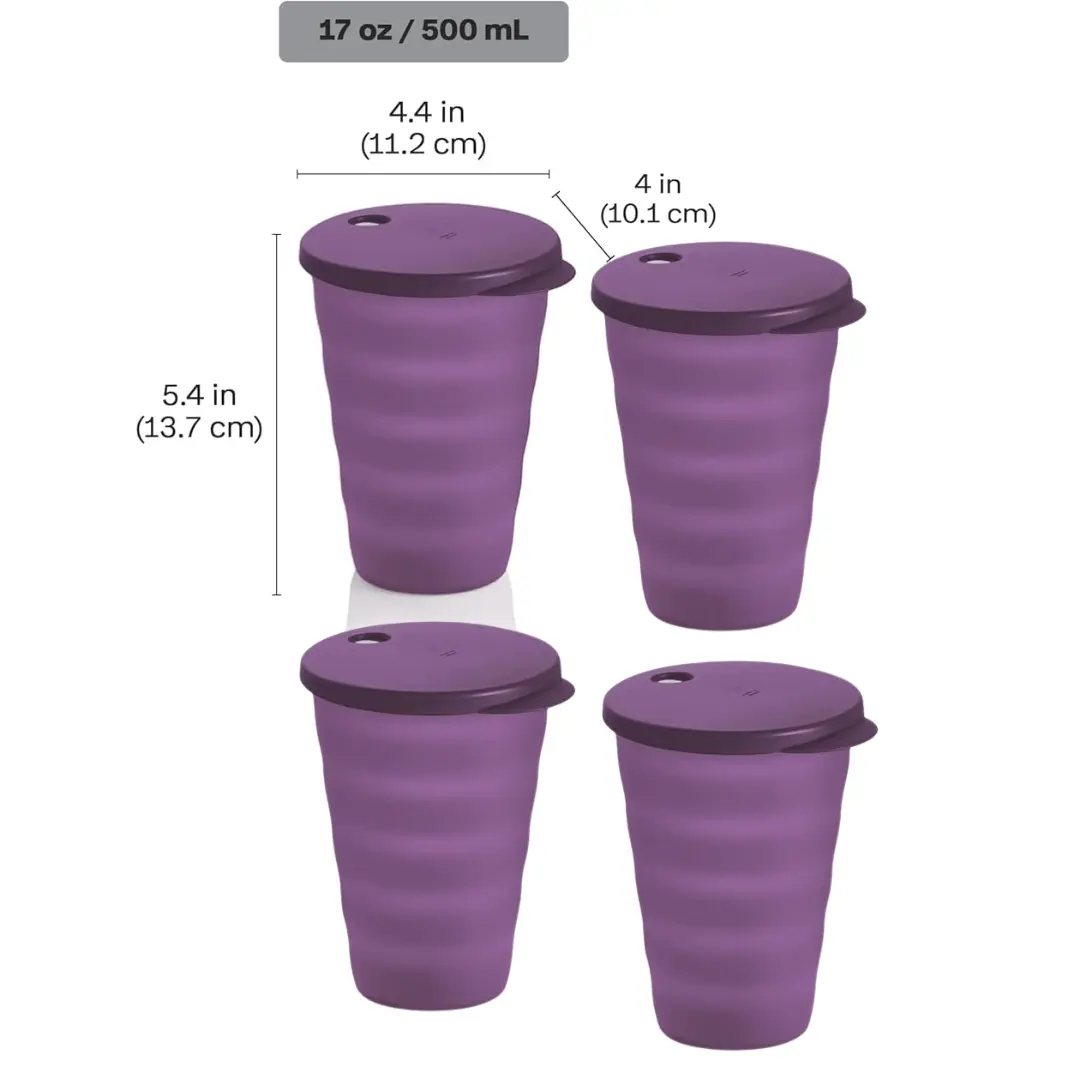 Tupperware Impressions Tumblers | 16 oz / 500 mL - TikTok Shop