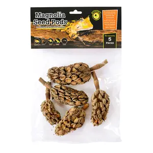 Galapagos Magnolia Seed Pods - 5 Pack
